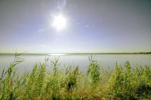 Ežeras, Saulėlydis, Nendrės