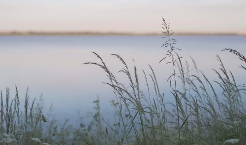 Ežeras, Denmark, Saulėlydis, Vanduo, Gamta, Dangus, Lauke