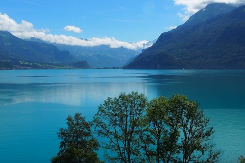 Ežeras, Kalnai, Ežeras Thun, Nuotaika, Šveicarija, Kraštovaizdis