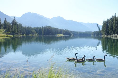 Ežeras, Kanada, Alberta, Parkas, Antis, Kraštovaizdis, Kalnas, Vanduo, Laukinė Gamta