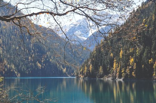 Ežeras, Vanduo, Kalnai, Kalvos, Medžiai, Gamta, Kraštovaizdis, Penkių Gėlių Ežeras, Jiuzhaigou, Sichuanas