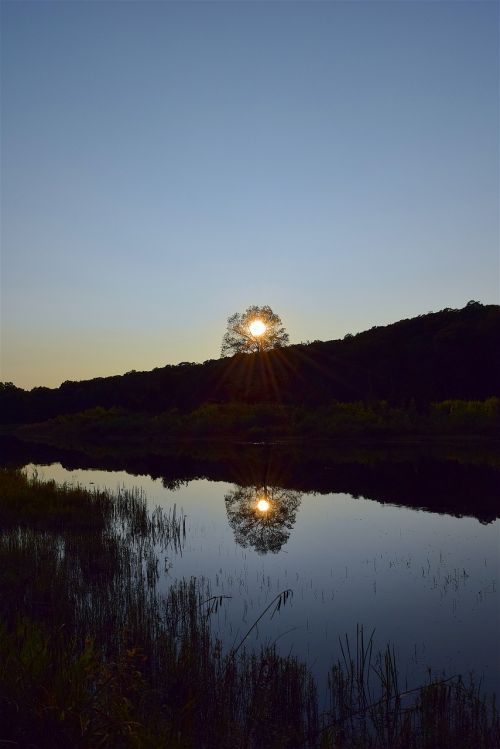 Ežeras, Saulėlydis, Atspindys, Parkas, Medžiai, Mėlynas, Vanduo, Gamta, Kraštovaizdis, Dangus, Miškas, Vasara, Lauke, Peizažas, Kalnas, Vaizdingas, Dusk, Ramus, Aplinka, Kranto, Horizontas, Žalias, Tamsi, Siluetas, Pakrantė, Natūralus