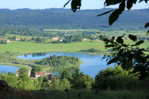 Ežeras, Jura, Laukas, Gamta