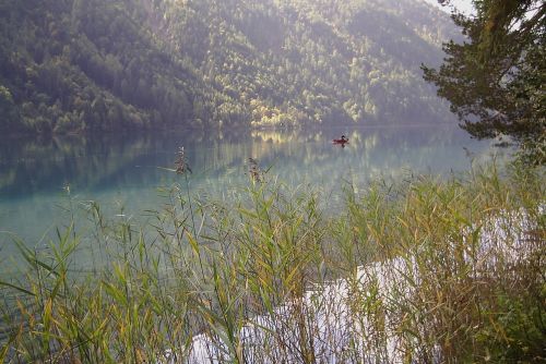 Ežeras, Gamta, Vanduo, Medžiai, Laguna, Kraštovaizdis