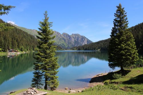 Ežeras, Kalnų Peizažas, Veidrodinis Vaizdas, Arnesee, Berni Oberland, Miškas, Šveicarija