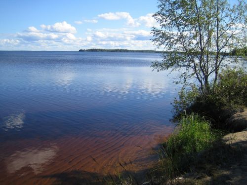 Ežeras, Vasara, Suomių, Vasaros Atostogos, Kraštovaizdis, Vanduo, Gamtos Nuotrauka, Kranto Linija