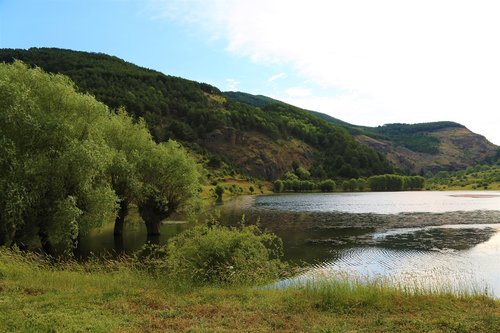 Ežeras,  Vandens,  Pobūdį,  Kraštovaizdis,  Medžiai,  Atspindys,  Miškas