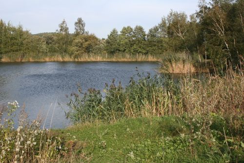 Ežeras, Rudens Nuotaika, Vaikščioti