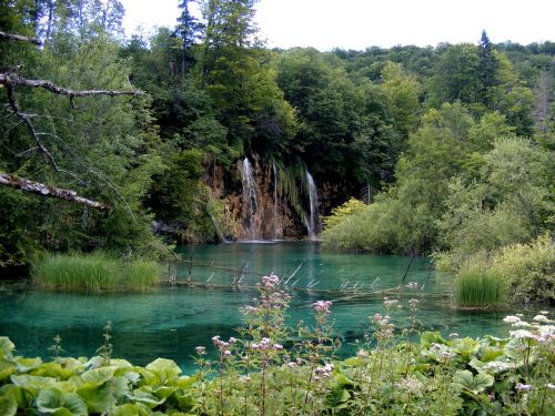 Ežeras, Plitvice, Mėlynas, Augalai, Medžiai, Žalias, Kroatija