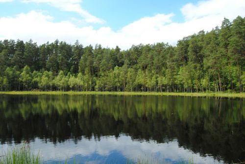 Ežeras, Miškas, Kraštovaizdis, Gamta, Lenkija, Vanduo, Atspindys