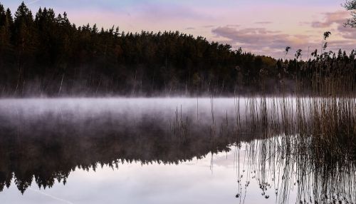 Ežeras, Migla, Nendrė, Švedija