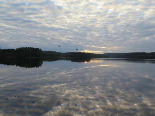 Ežeras, Veidrodis, Vakaras, Tylus, Gamta, Finland, Kraštovaizdis