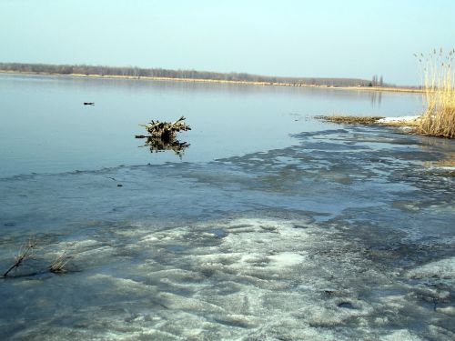 Ežeras, Ledas, Gamta