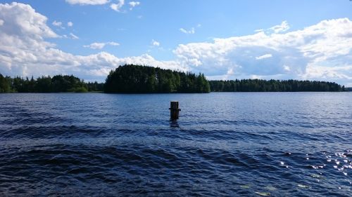 Ežeras, Papludimys, Medžiai, Vanduo, Suomių, Gamtos Nuotrauka, Mėlynas, Ežeras Finlande