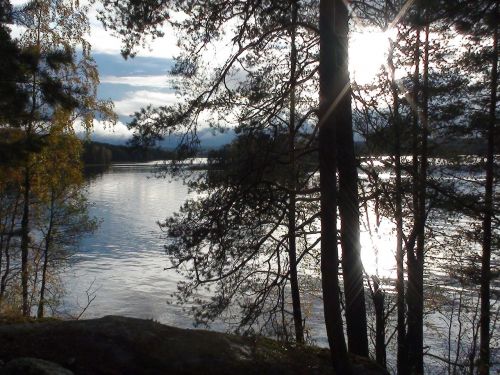 Ežeras, Vanduo, Finland, Taika, Apmąstymai, Medžiai, Miškai, Miškas