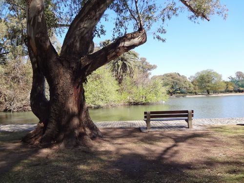 Ežeras, Bankas, Parkas, Medžiai, Palermo Giraites, Buenos Airės