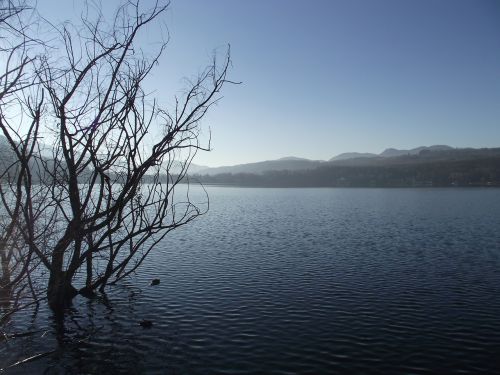 Ežeras Avigliana, Ežeras, Piemonte, Kraštovaizdis