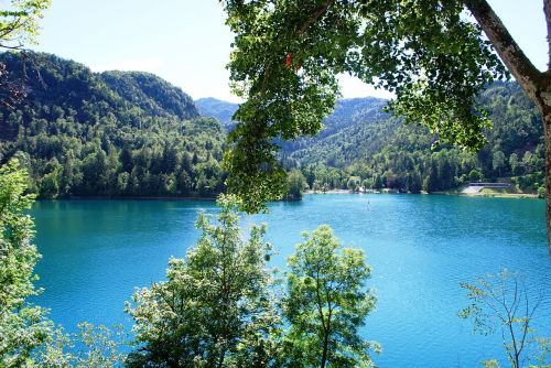 Ežeras Bledas, Slovenia, Gamta, Taikus, Europa, Kalvos, Vanduo