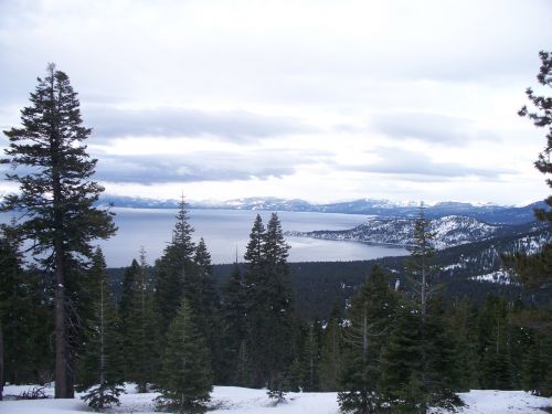 Sniegas,  Ežeras,  Tahoe,  Medžiai,  Ežeras Tahoe