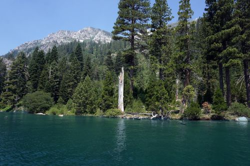 Ežeras Tahoe, Smaragdo Įlanka, Ežeras, Vasara, Gamta, Kalnai, Pušis, Peizažas, Vaizdingas