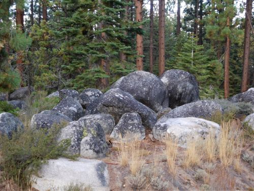Rieduliai,  Akmenys,  Medžiai,  Van & Nbsp,  Pjautuvas & Nbsp,  Parkas,  Ežeras Tahoe Van Sirpių Parkas