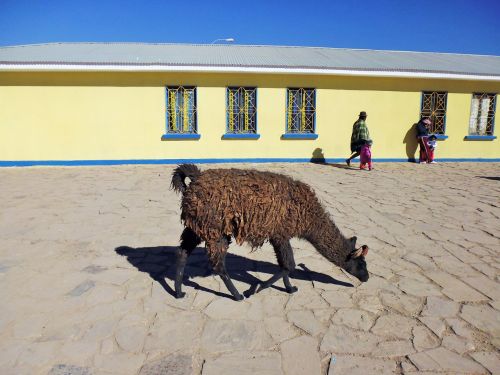 Ašmenys,  Bolivija,  Atlyginimas De Uyuni,  Gyvūnų,  Miestas,  Desertas