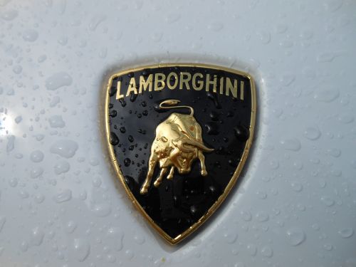 Lamborghini, Balta, Emblema, Logotipas, Transporto Priemonė, Automobiliai, Prabanga, Kupė, Italy, Stilingas