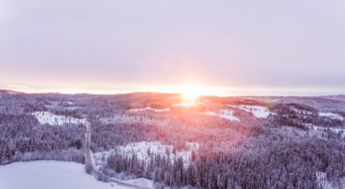 Žemė, Miškas, Augalai, Medžiai, Pušis, Lauke, Saulės Šviesa, Saulės Šviesa, Kelias, Kelionė, Kelionė, Sušaldyta, Ledas