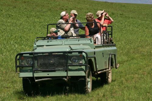 Land Rover, Jeep, Safari, Senas, Gynėjas, Turistai, Žiūronai, Underberg, Pietų Afrika
