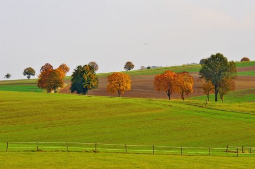 Kraštovaizdis, Ruduo, Medžiai, Gamta, Kritimo Lapija, Pieva