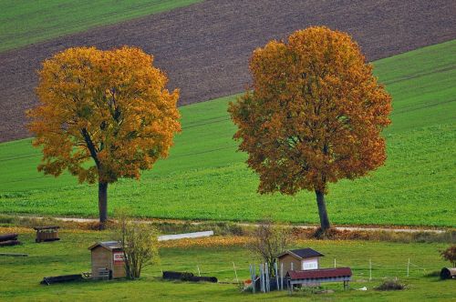 Kraštovaizdis, Ruduo, Medžiai, Gamta, Kritimo Lapija, Pieva