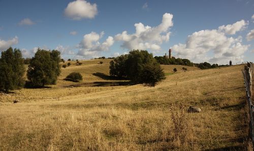 Kraštovaizdis, Kalnas, Laukas, Gamta, Medis