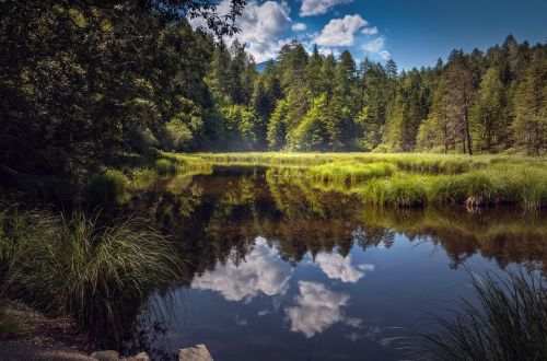 Kraštovaizdis, Ežeras, Gamta, Veidrodis, Vanduo, Atspindys