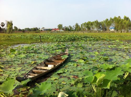 Kraštovaizdis, Vanduo, Valtis, Kampong Chhnang, Kambodža, Lauke, Žalias