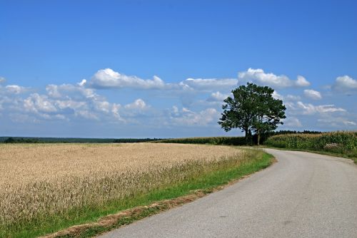 Kraštovaizdis, Pietų Bohēma, Laukas, Vasara, Dangus, Mėlynas, Debesys