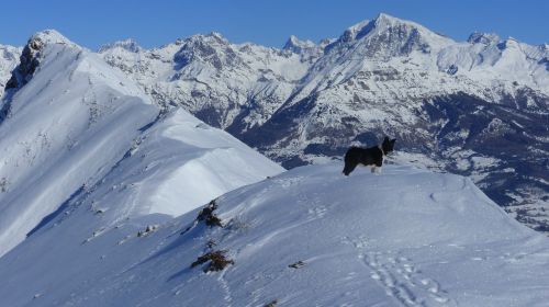 Kraštovaizdis, Kalnas, Žiema, Gamta, Alpės, Aukščiausiojo Lygio Susitikimas, Šuo, Žiemos Peizažai, Hautes Alpes