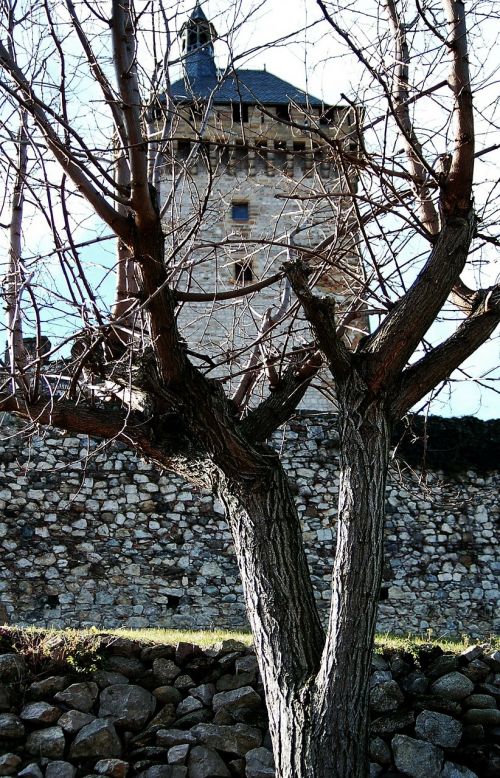 Kraštovaizdis, Pilis, Bokštas, Architektūra, Foix, France, Medis, Rokas