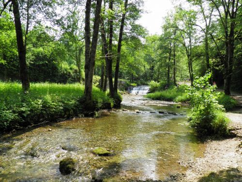 Kraštovaizdis, Gamta, Žalias, Kalnas, Medis, France, Jura, Vasara