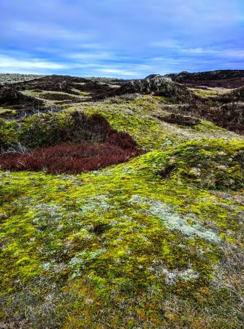 Kraštovaizdis, Langeoog, Kalnas