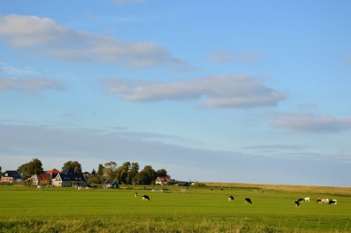 Kraštovaizdis,  Panorama,  Holland,  Kraštovaizdis