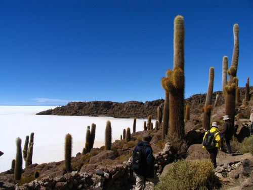 Dangus, Aukštas Kaktusas, Kraštovaizdis, Kalnas, Bolivija, Žygiai