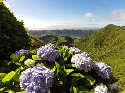 Kraštovaizdis, Ežeras, Gėlė, Gėlės, Augalas, Gamta, Dangus, Azores