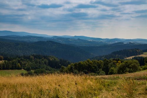 Kraštovaizdis,  Gamta,  Medis,  Sezonai,  Pavasaris,  Vasara,  Ruduo,  Dangus,  Debesis,  Debesuota,  United & Nbsp,  Karalystė,  Jorkšyras,  Kraštovaizdis