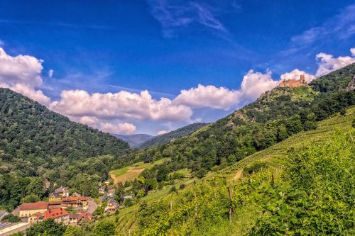 Kraštovaizdis, France, Alsace, Vosges, Miškas, Kalnai, Žalias