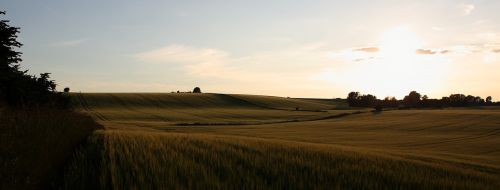 Kraštovaizdis, Vasara, Natūralus, Ženklas, Grūdai, Saulėlydis, Vakaras, Denmark