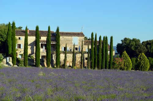 Kraštovaizdis, Provence, Levanda, France, Gamta, Laukai, Drôme, Kvapai