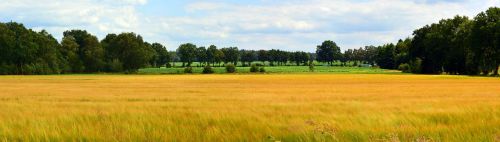 Kraštovaizdis, Panorama, Grūdai, Laukas, Gamta, Perspektyva, Dangus