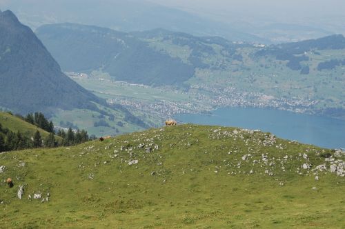 Kraštovaizdis, Šveicarija, Ežeras, Kalnai