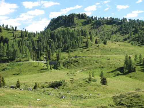 Kraštovaizdis, Prato, Kalnas, Gamta, Žalias, Vasara, Pievos, Valle, Žolė, Dolomitai, Carnia
