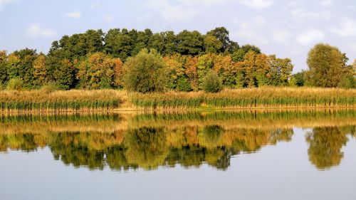 Kraštovaizdis, Veidrodis, Medžiai, Ežeras, Vandenys, Atspindys, Vanduo